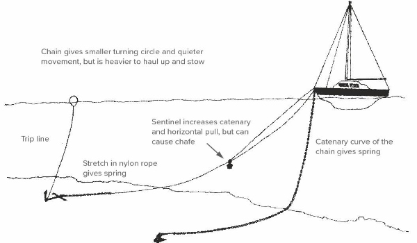 แผนภาพการยึด